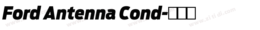 Ford Antenna Cond字体转换